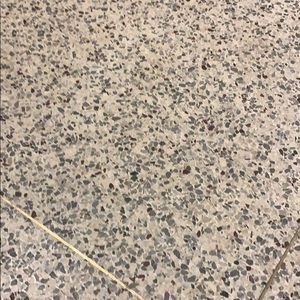 Meet your Posher, Dagmar